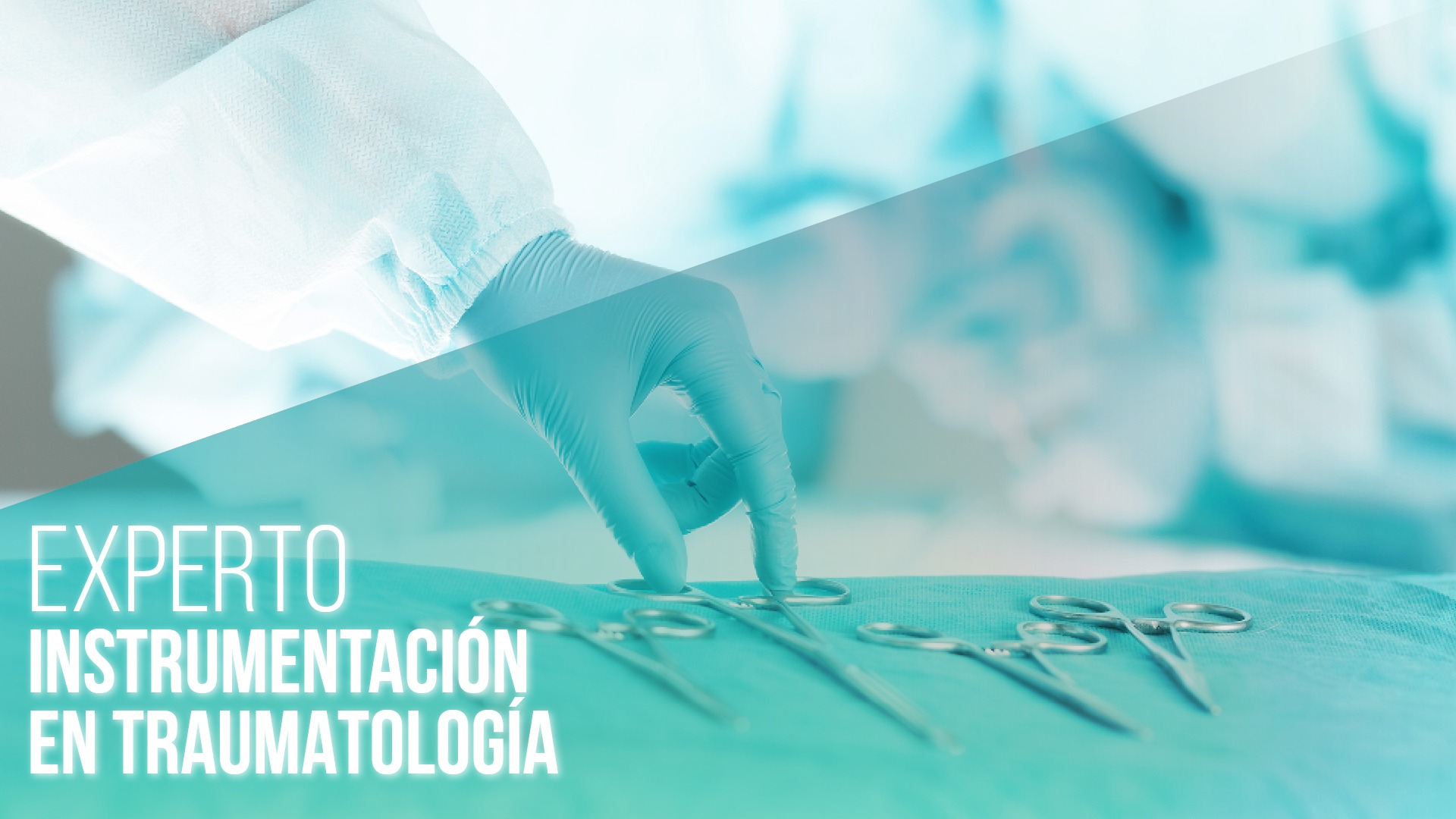 imagen prueba texto alternativo