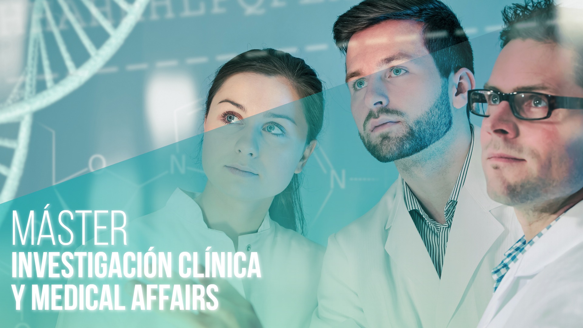 imagen prueba texto alternativo