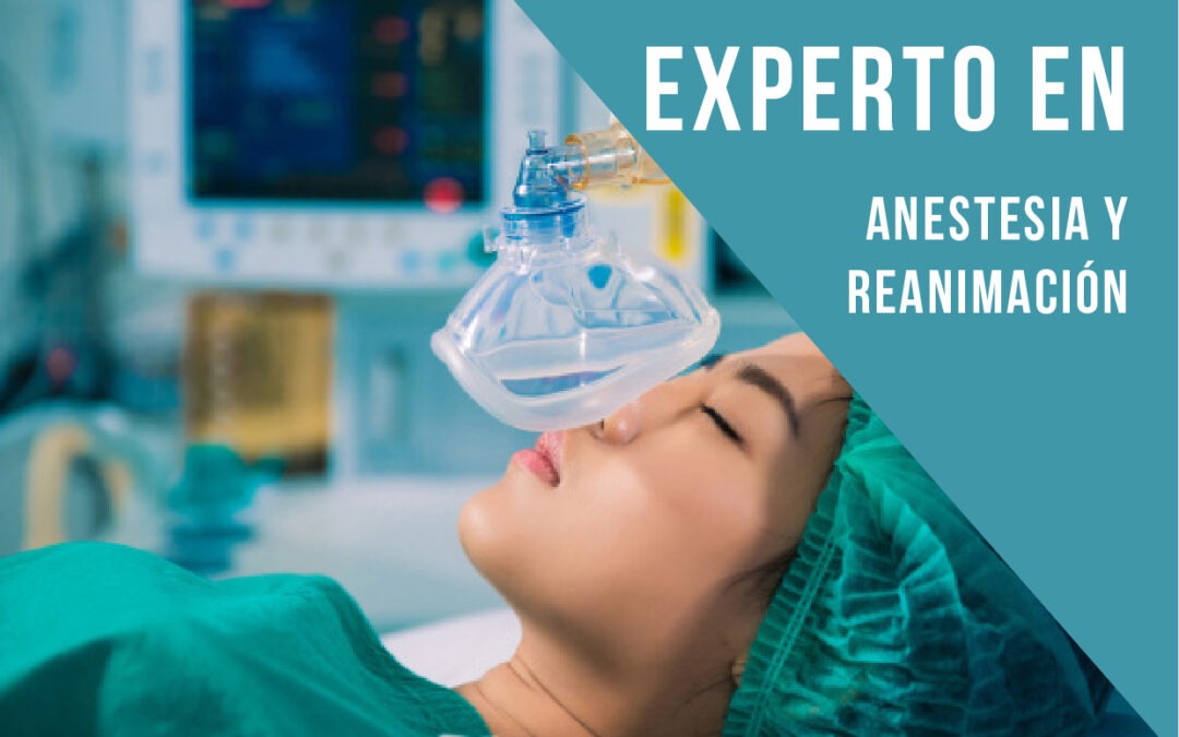 Experto en Anestesia y Reanimación