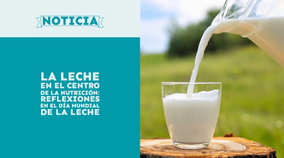 La Leche en el Centro de la Nutrición: Reflexiones en el Día Mundial de